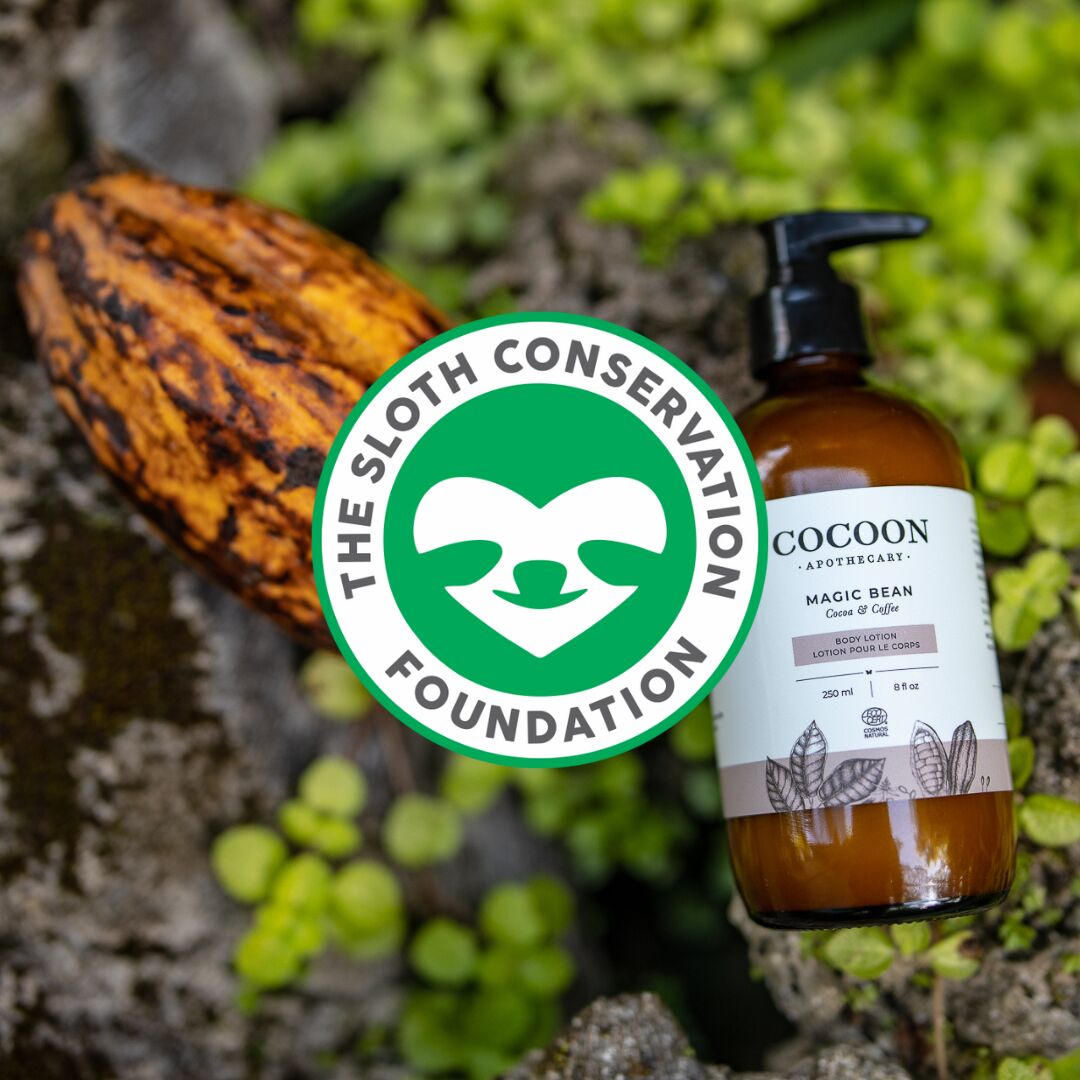 Happy World Sloth Day!🦥♥️ - Cocoon Apothecary